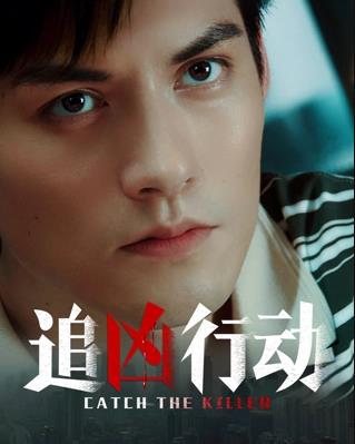 追凶行动