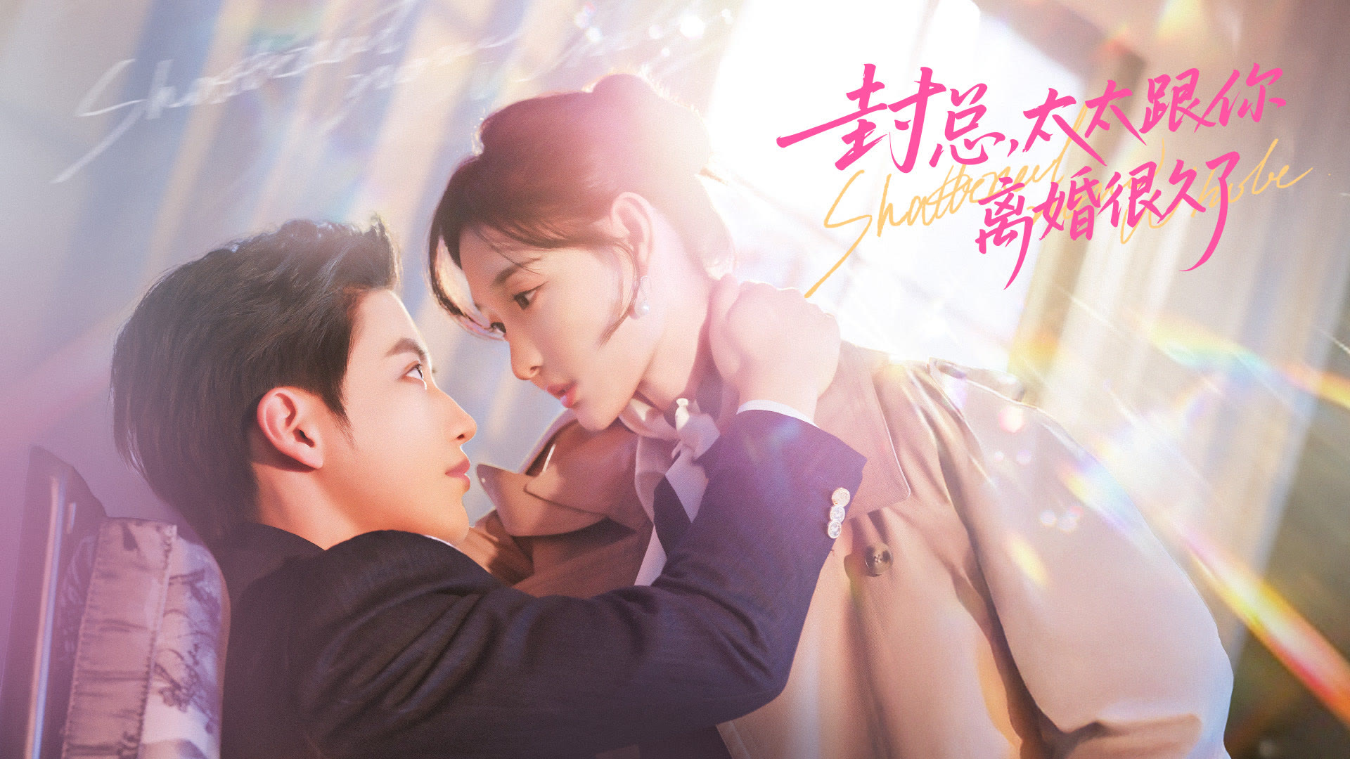 封总,太太跟你离婚很久了