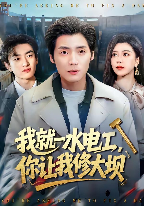 我就一水电工,你让我修大坝